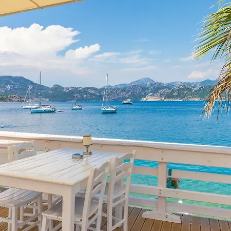 Tamara * السليمية