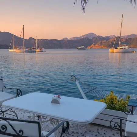 Tamara فندق مبيت وإفطار السليمية