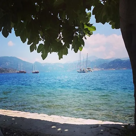 Tamara السليمية