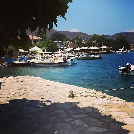 Tamara Σελιμιγιέ