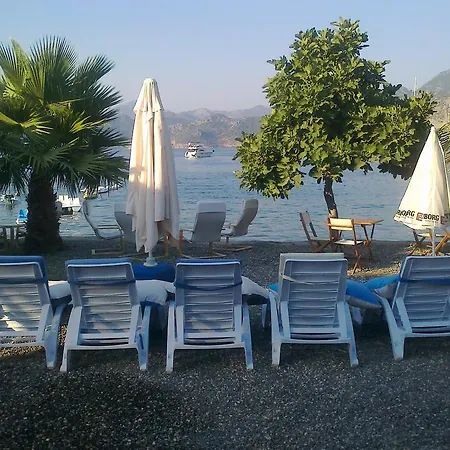 Tamara السليمية