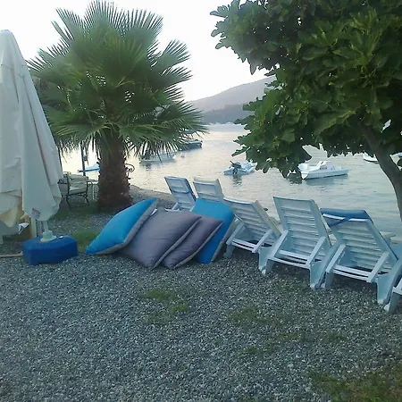 Tamara السليمية