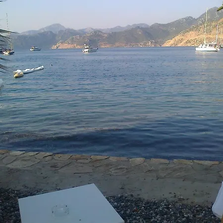 Tamara السليمية