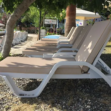 Tamara السليمية