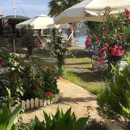 Bed and Breakfast Tamara