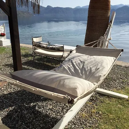 Tamara السليمية