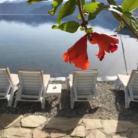 فندق مبيت وإفطار Tamara السليمية