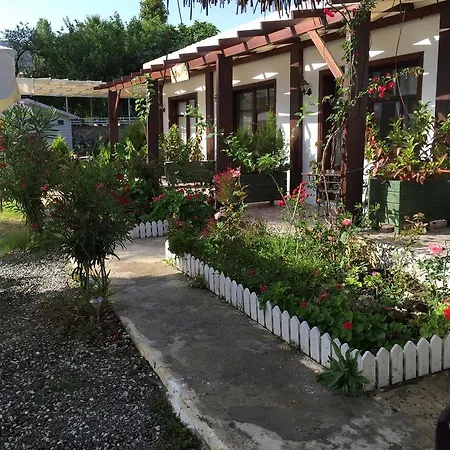 Tamara السليمية