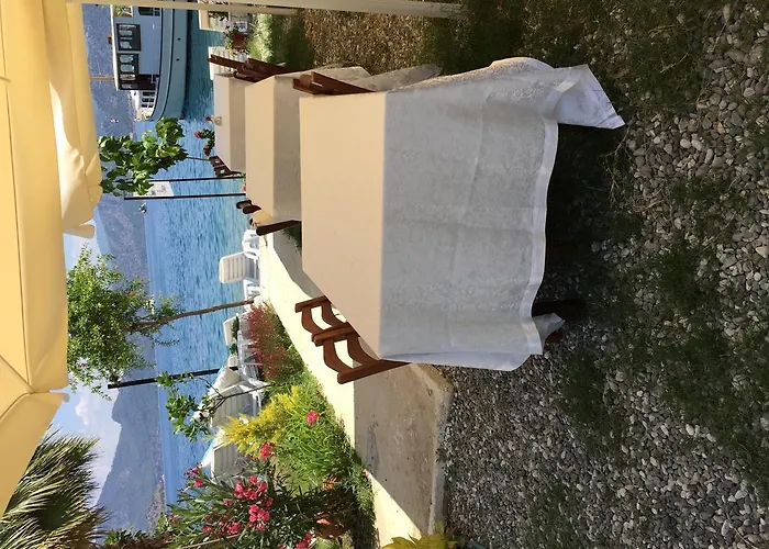 Tamara Отель типа 