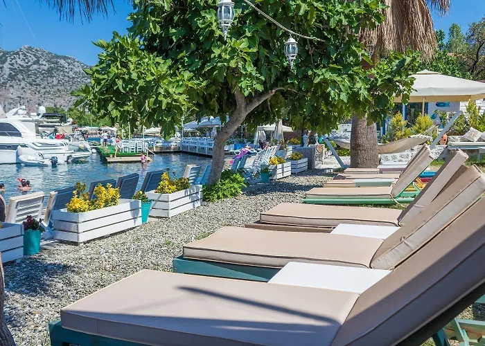 Tamara Bed and Breakfast