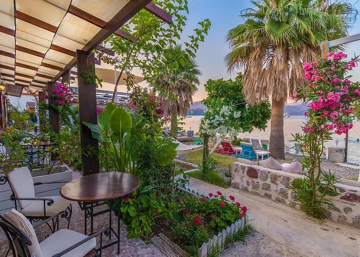 Tamara Отель типа 