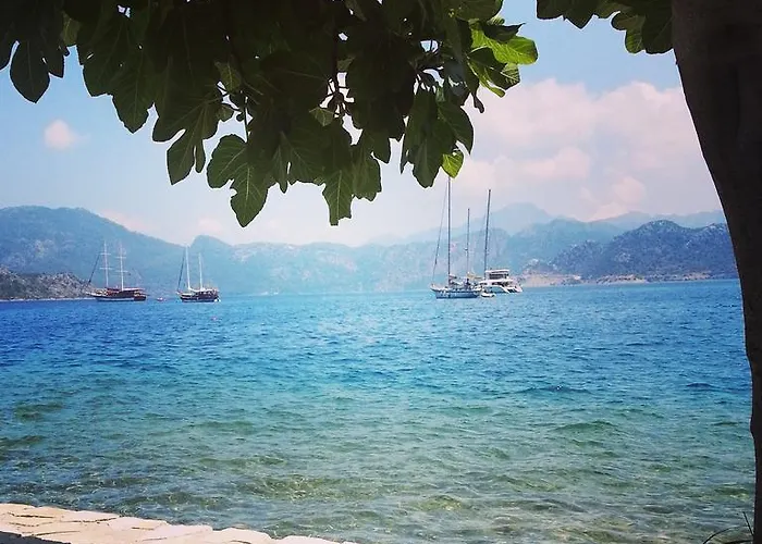 Tamara Σελιμιγιέ