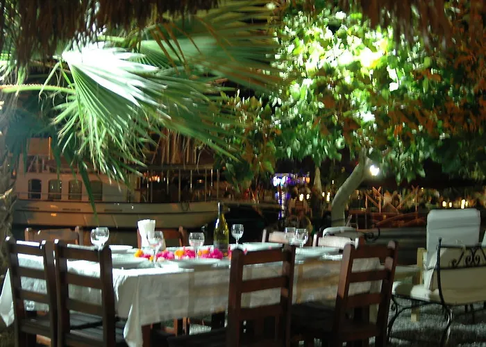 Tamara Селемие