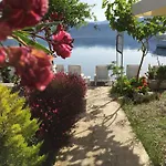Alojamento de Acomodação e Pequeno-almoço Tamara