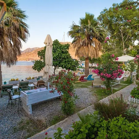 Tamara Selimiye (Aegean)