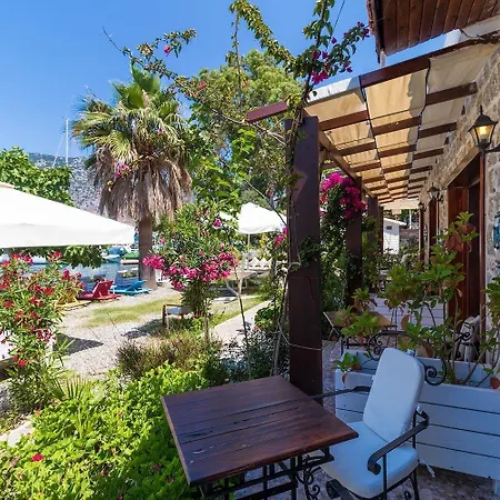 Tamara Bed & Breakfast