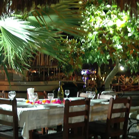 Tamara Selimiye (Aegean)