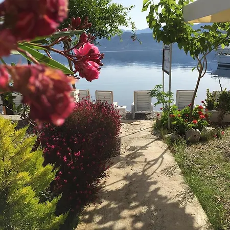 Oda ve Kahvaltı Tamara