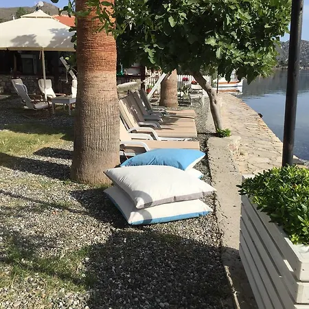 Tamara Selimiye (Aegean)