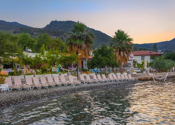 Tamara Couette-café