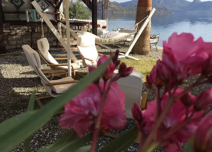 Bed & Breakfast Tamara Beach